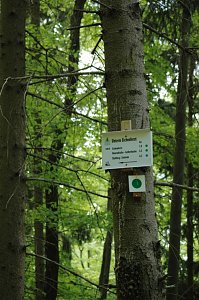 Ein Wort, ein Weg