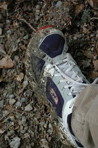 Ein Wort, ein Weg