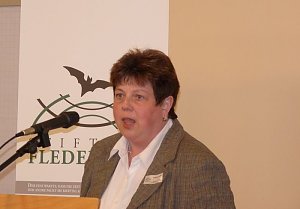 Stiftung Fledermaus