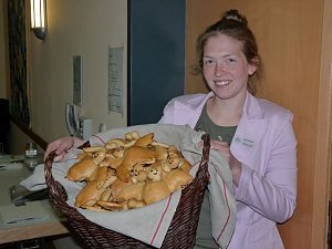 Stiftung Fledermaus