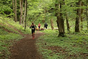 11. Harztorlauf - Am Start und auf der Strecke