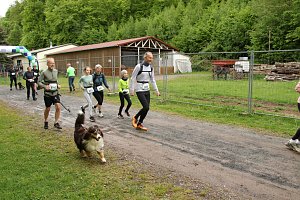 11. Harztorlauf - Am Start und auf der Strecke