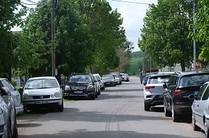Fr&uuml;hlingsfest in Liebenrode