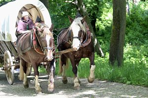 500 Jahre nach dem Bauernkrieg stellen 30 Darsteller in historischen Gew&auml;ndern den M&uuml;ntzer-Zug nach und machen Station in Ebeleben