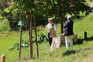 Mit dem Parkfest wurde am Sonntag die Freiluft-Saison im Park Hohenrode er&ouml;ffnet