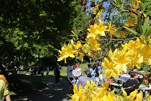 Mit dem Parkfest wurde am Sonntag die Freiluft-Saison im Park Hohenrode er&ouml;ffnet