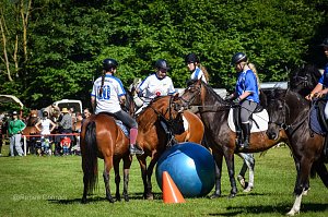 In W&uuml;lfingerode wird demn&auml;chst zur 51. Ponyschau geladen