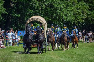 In W&uuml;lfingerode wird demn&auml;chst zur 51. Ponyschau geladen