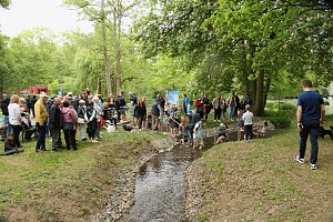 Anwassern im Stadtpark