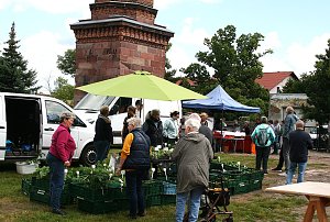 Maibauernmarkt in Kelbra