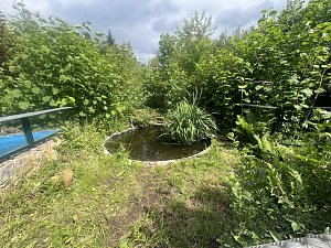 Krokodile und Schlagen in Obhut genommen