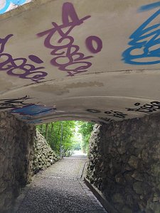 Verunstaltende Graffitis im Nordh&auml;user Gehege