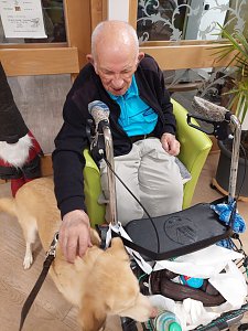 Gemeinsames Zuhause von Bewohner und Tier - in Werther gibt es jetzt einen Therapiehund