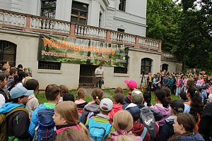 Waldjugendspiele 2025 im Park Hohenrode