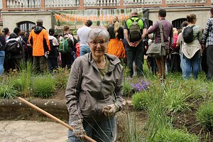 Waldjugendspiele 2025 im Park Hohenrode