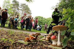 Waldjugendspiele 2025 im Park Hohenrode