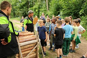 Waldjugendspiele 2025 im Park Hohenrode
