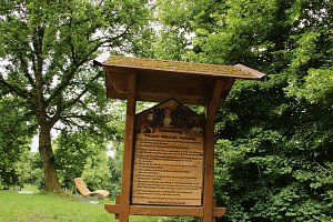 Waldjugendspiele 2025 im Park Hohenrode