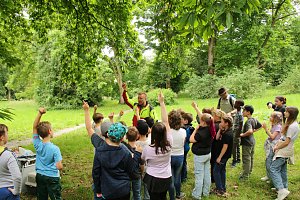 Waldjugendspiele 2025 im Park Hohenrode