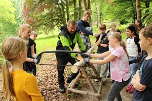Waldjugendspiele 2025 im Park Hohenrode