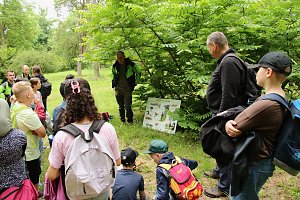 Waldjugendspiele 2025 im Park Hohenrode