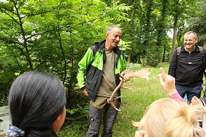 Waldjugendspiele 2025 im Park Hohenrode