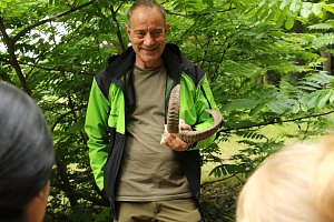 Waldjugendspiele 2025 im Park Hohenrode