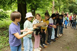 Waldjugendspiele 2025 im Park Hohenrode