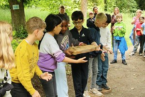 Waldjugendspiele 2025 im Park Hohenrode