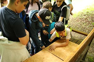 Waldjugendspiele 2025 im Park Hohenrode