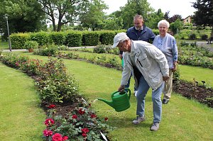 Feierliche Einpflanzung im Rosengarten am Pfingstsamstag