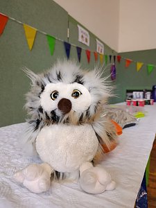 Ein zauberhafter Tag an der Grundschule Petersdorf