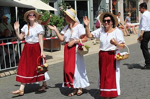 Brunnenfestumzug Bad Langensalza Teil 1
