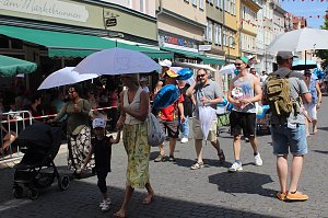 Brunnenfestumzug Bad Langensalza Teil 1