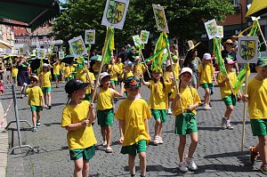 Brunnenfestumzug Bad Langensalza Teil 1