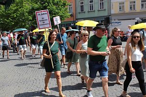 Brunnenfestumzug Bad Langensalza Teil 1
