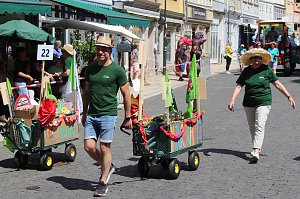 Brunnenfestumzug Bad Langensalza Teil 1