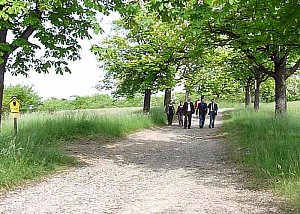 Tag der Parke