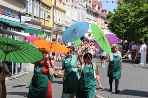 Brunnenfestumzug Bad Langensalza Teil 2