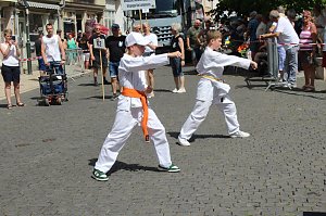 Brunnenfest 2025 in Bad Langensalza