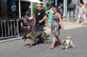 Brunnenfest 2025 in Bad Langensalza