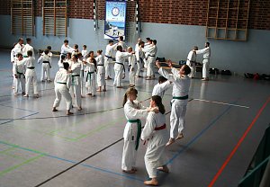 Karatesportler 
