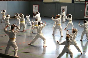 Karatesportler 