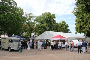 Sommerfest des Landkreises in Uthleben
