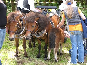 Pfingsten in Bad Elster