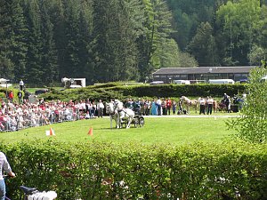 Pfingsten in Bad Elster