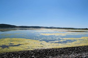 Peter Blei unterwegs am Stausee Kelbra 