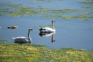 Peter Blei unterwegs am Stausee Kelbra 