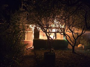 Brand im Stürzetal