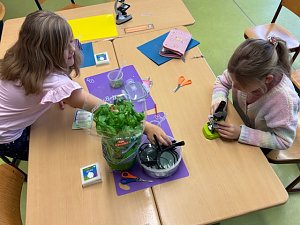 Viel los in der Grundschule Werther